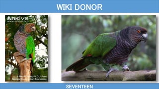 SEVENTEEN
WIKI DONOR
 