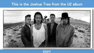 EIGHT
This is the Joshua Tree from the U2 album
 