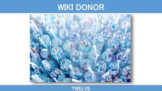 TWELVE
WIKI DONOR
 
