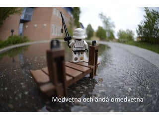 Medvetna och ändå omedvetna