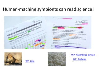 Human-machine symbionts can read science!
WP_Lion
WP_Aspergillus_oryzae
WP_Soybean
 
