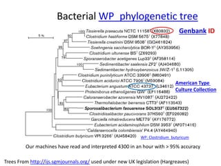 Bacterial WP_phylogenetic tree
Our machines have read and interpreted 4300 in an hour with > 95% accuracy
Trees From http://ijs.sgmjournals.org/ used under new UK legislation (Hargreaves)
WP: Clostridium_butyricum
Genbank ID
American Type
Culture Collection
 