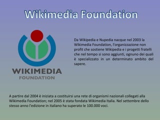 Da Wikipedia e Nupedia nacque nel 2003 la  Wikimedia Foundation, l'organizzazione non  profit che sostiene Wikipedia e i progetti fratelli  che nel tempo si sono aggiunti, ognuno dei quali è specializzato in un determinato ambito del sapere.  A partire dal 2004 è iniziata a costituirsi una rete di organismi nazionali collegati alla Wikimedia Foundation; nel 2005 è stata fondata Wikimedia Italia. Nel settembre dello stesso anno l'edizione in italiano ha superato le 100.000 voci. 