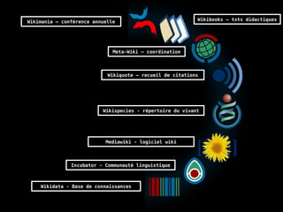 Wikimania – conférence annuelle Wikibooks – txts didactiques
Meta-Wiki – coordination
Wikiquote – recueil de citations
Wikispecies - répertoire du vivant
Incubator - Communauté linguistique
Wikidata - Base de connaissances
Mediawiki - logiciel wiki
 