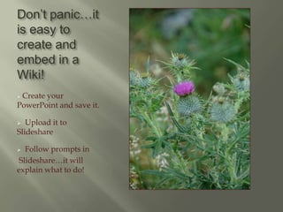 Be sure your images are appropriate Be sure to cite your images using only URL address below imageIf it is your own image, no citation is necessary