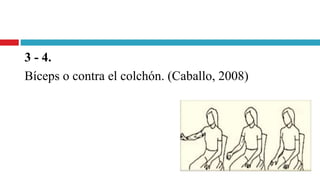 3 - 4.
Bíceps o contra el colchón. (Caballo, 2008)
 