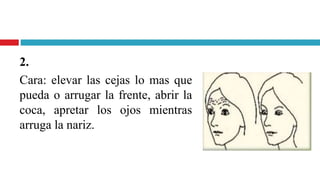2.
Cara: elevar las cejas lo mas que
pueda o arrugar la frente, abrir la
coca, apretar los ojos mientras
arruga la nariz.
 