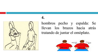 4.
hombros pecho y espalda: Se
llevan los brazos hacia atrás
tratando de juntar el omóplato.
 