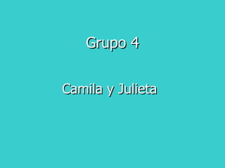 Grupo 4 Camila y Julieta 