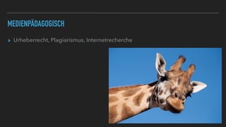 MEDIENPÄDAGOGISCH
▸ Urheberrecht, Plagiarismus, Internetrecherche
 