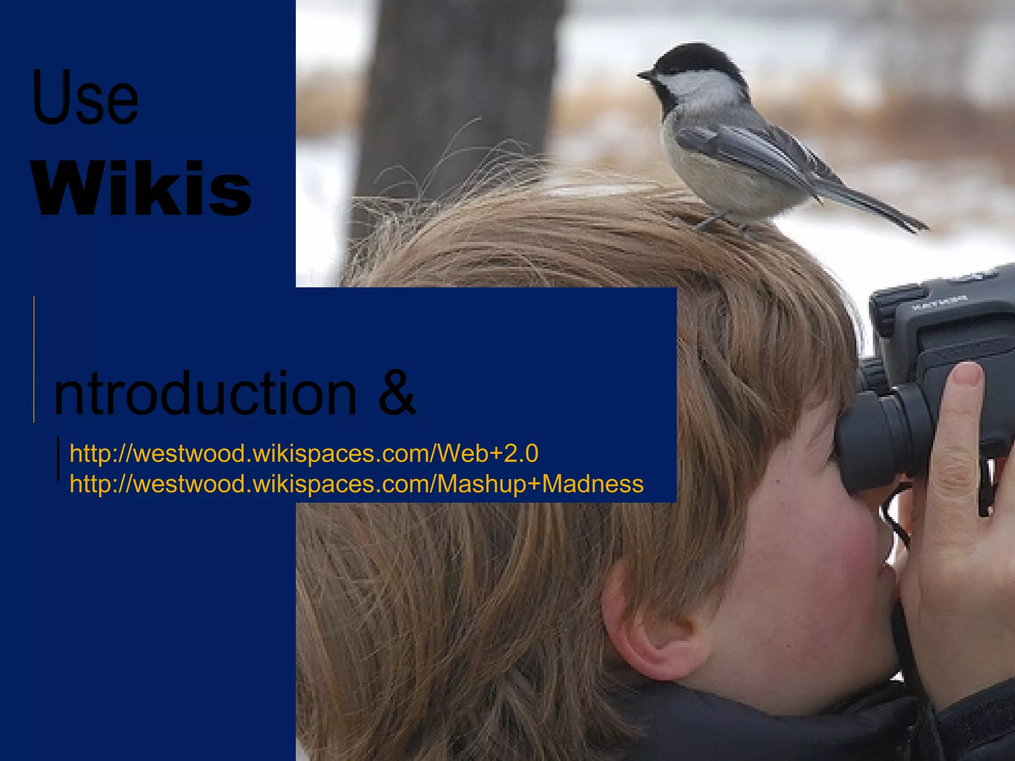 Use Wikis Introduction & Exploratory Projects http://westwood.wikispaces.com/Web+2.0   http://westwood.wikispaces.com/Mashup+Madness   