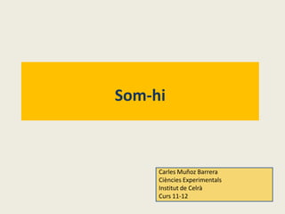 Som-hi



     Carles Muñoz Barrera
     Ciències Experimentals
     Institut de Celrà
     Curs 11-12
 
