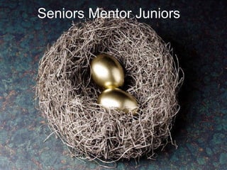 Seniors Mentor Juniors 