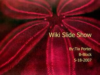 Wiki Slide Show By:Tia Porter B-Block 5-18-2007 