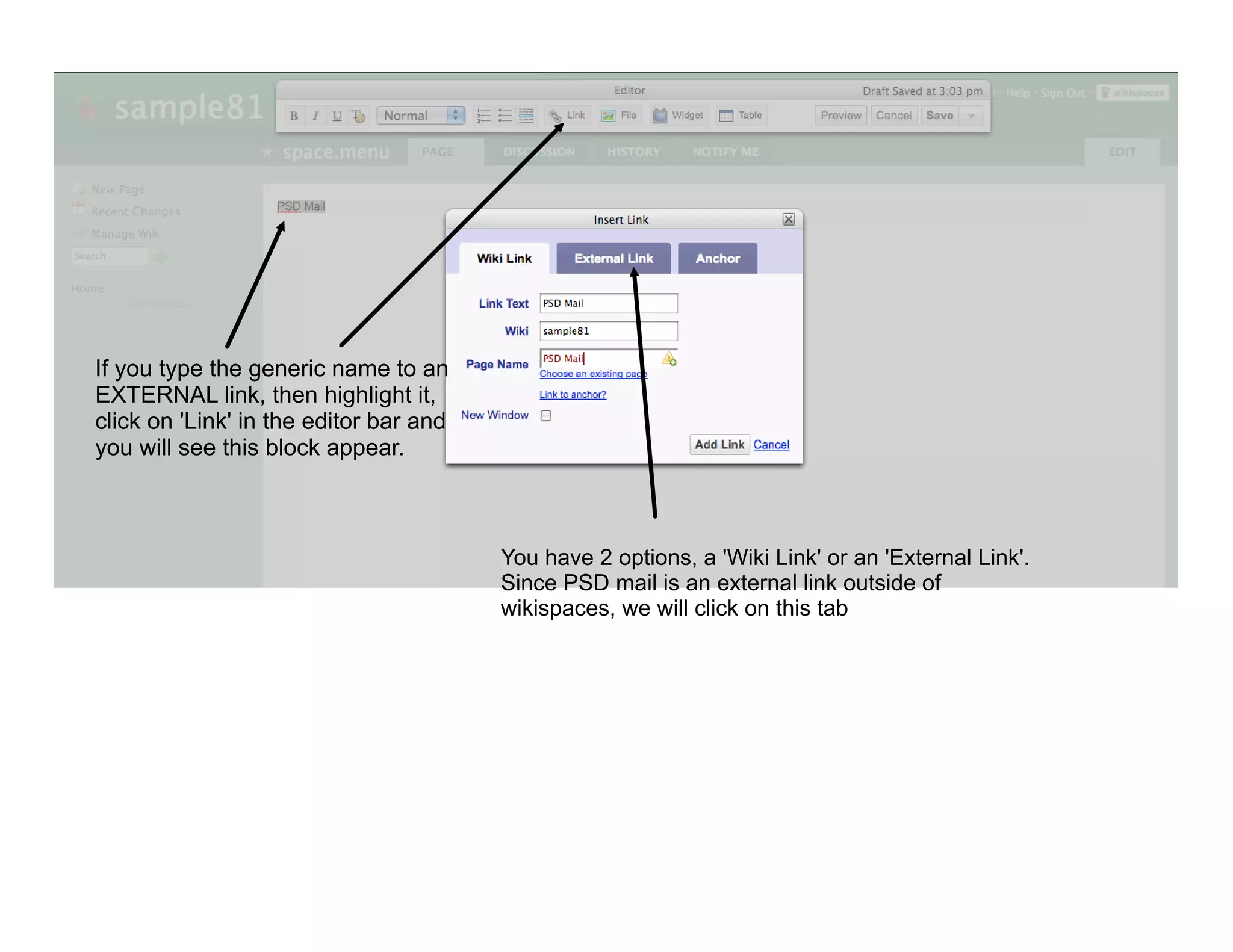 If you type the generic name to an
EXTERNAL link, then highlight it,
click on 'Link' in the editor bar and
you will see this block appear.



                                        You have 2 options, a 'Wiki Link' or an 'External Link'.
                                        Since PSD mail is an external link outside of
                                        wikispaces, we will click on this tab
 
