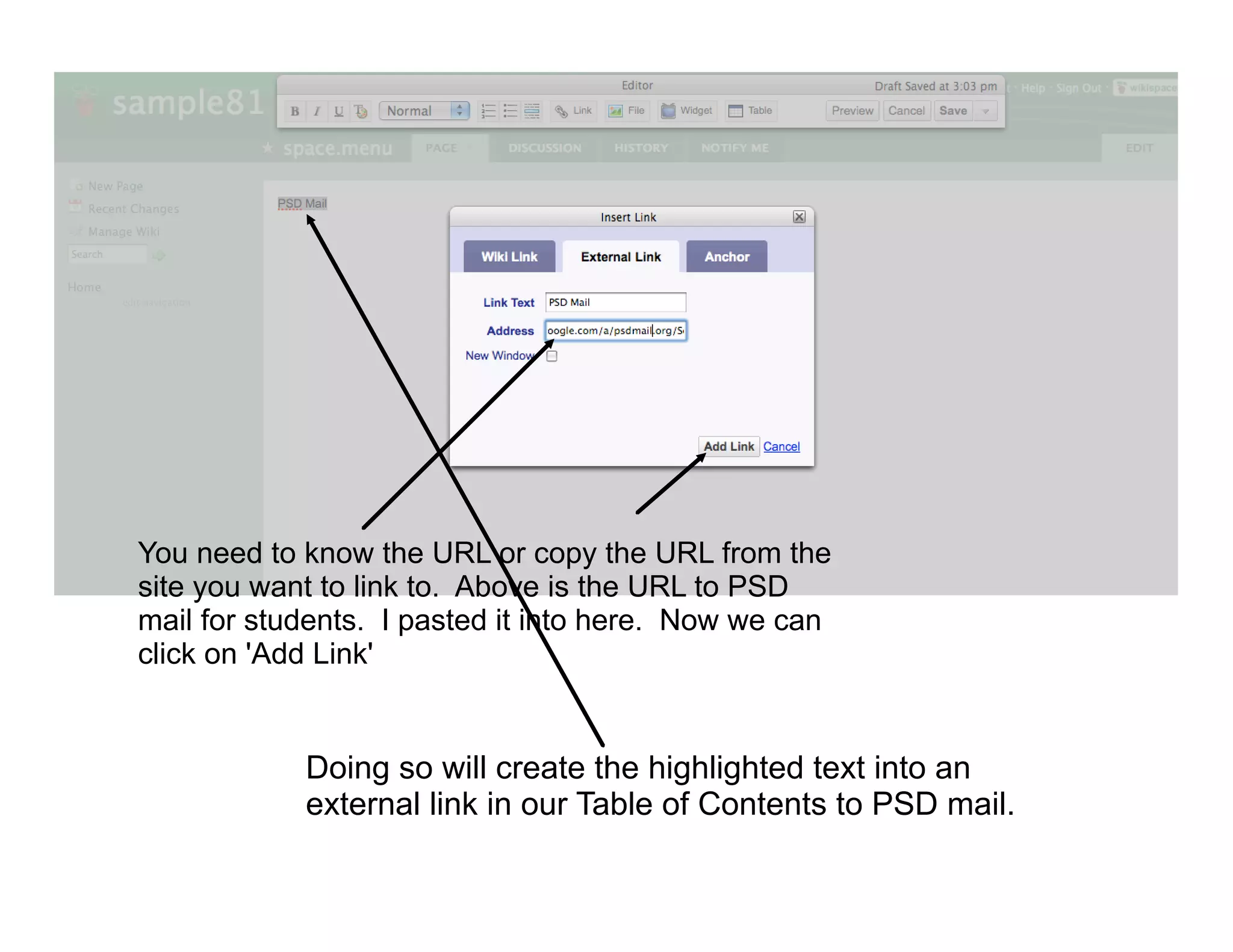 You need to know the URL or copy the URL from the
site you want to link to. Above is the URL to PSD
mail for students. I pasted it into here. Now we can
click on 'Add Link'


            Doing so will create the highlighted text into an
            external link in our Table of Contents to PSD mail.
 