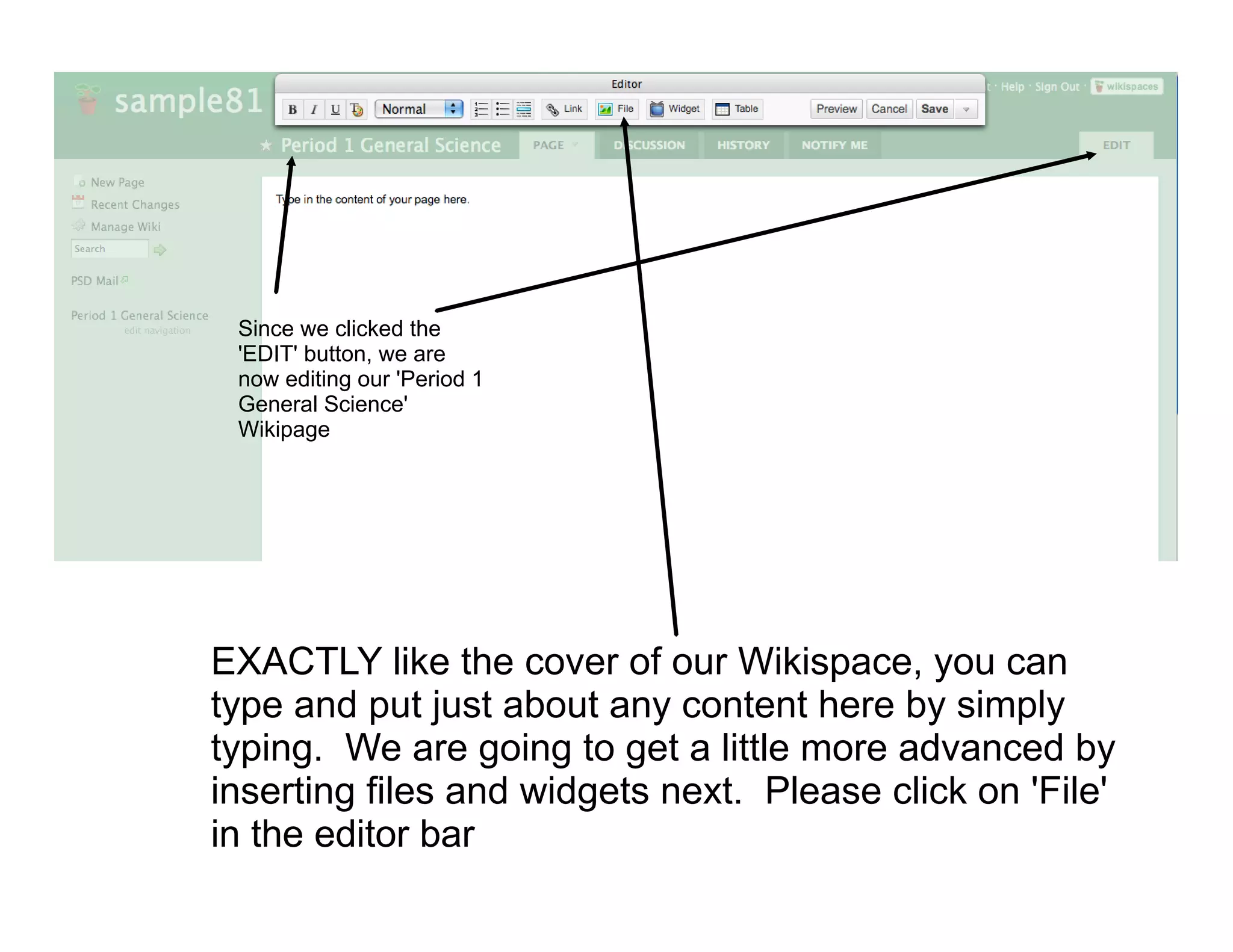Since we clicked the
 'EDIT' button, we are
 now editing our 'Period 1
 General Science'
 Wikipage




EXACTLY like the cover of our Wikispace, you can
type and put just about any content here by simply
typing. We are going to get a little more advanced by
inserting files and widgets next. Please click on 'File'
in the editor bar
 
