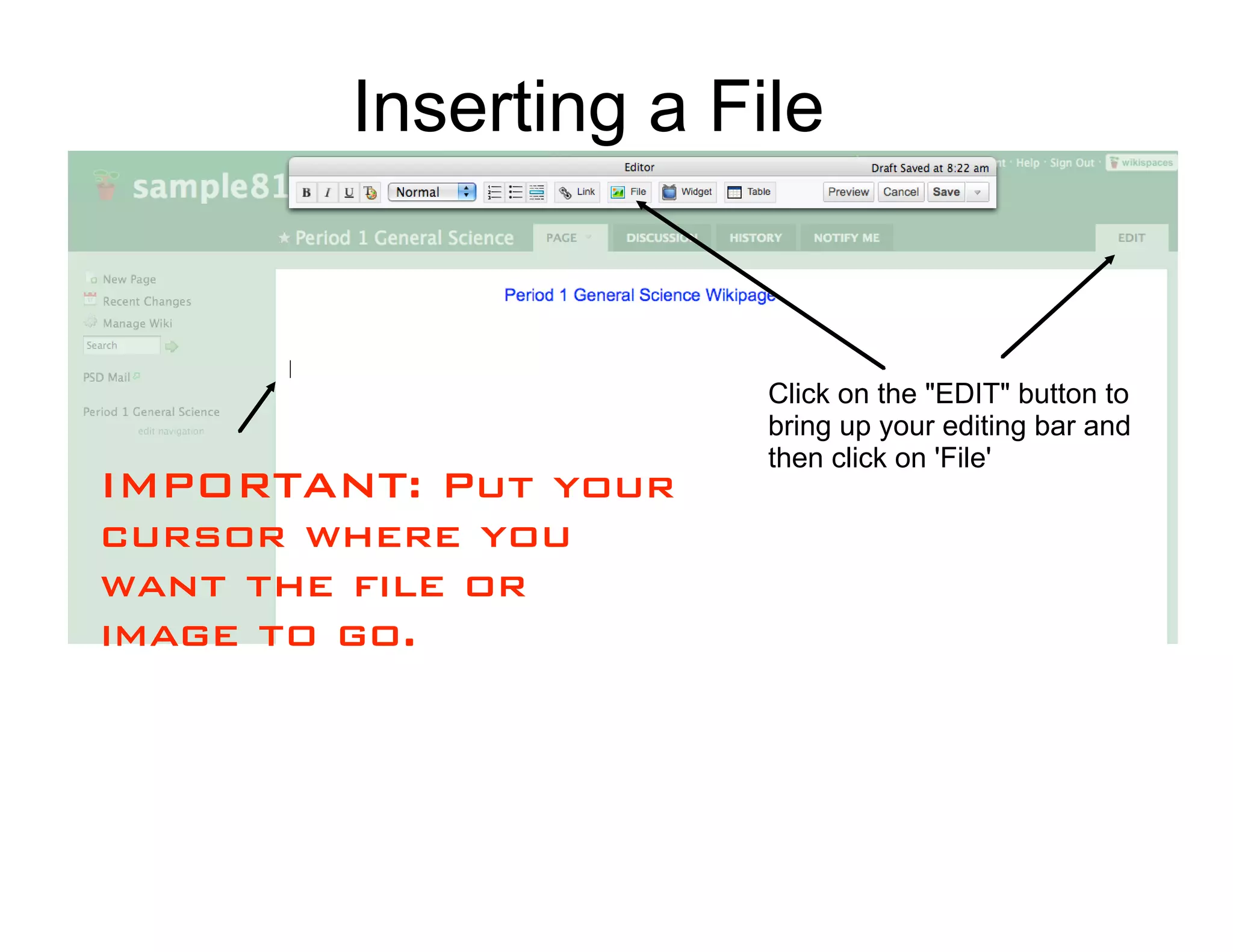 Inserting a File


                      Click on the "EDIT" button to
                      bring up your editing bar and
                      then click on 'File'
IMPORTANT: Put your
cursor where you
want the file or
image to go.
 