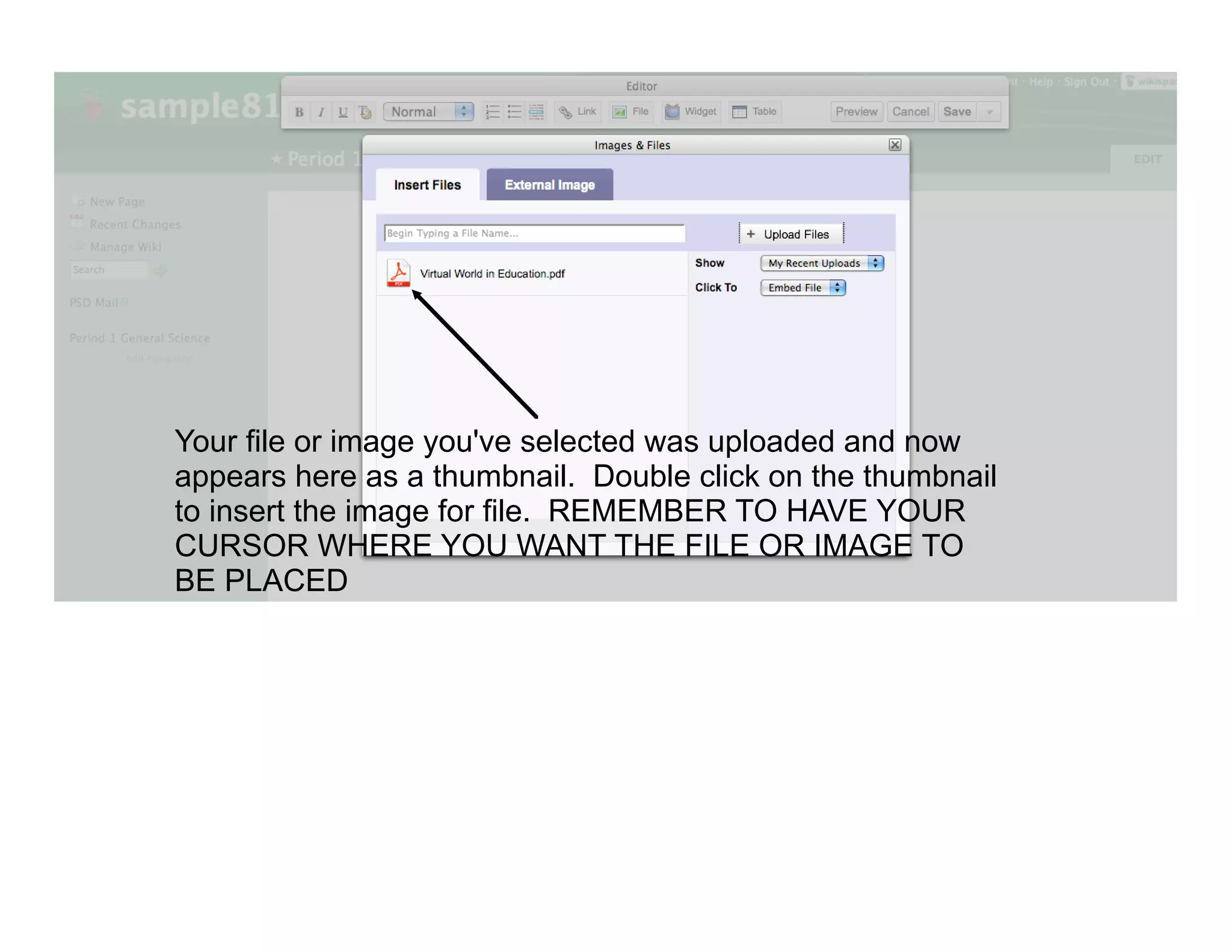 Your file or image you've selected was uploaded and now
appears here as a thumbnail. Double click on the thumbnail
to insert the image for file. REMEMBER TO HAVE YOUR
CURSOR WHERE YOU WANT THE FILE OR IMAGE TO
BE PLACED
 