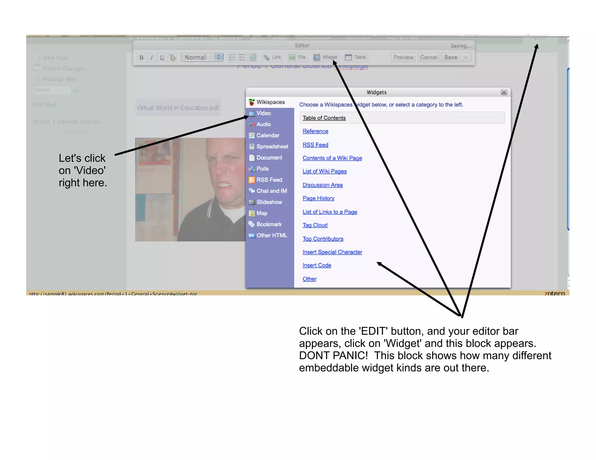 Let's click
on 'Video'
right here.




              Click on the 'EDIT' button, and your editor bar
              appears, click on 'Widget' and this block appears.
              DONT PANIC! This block shows how many different
              embeddable widget kinds are out there.
 