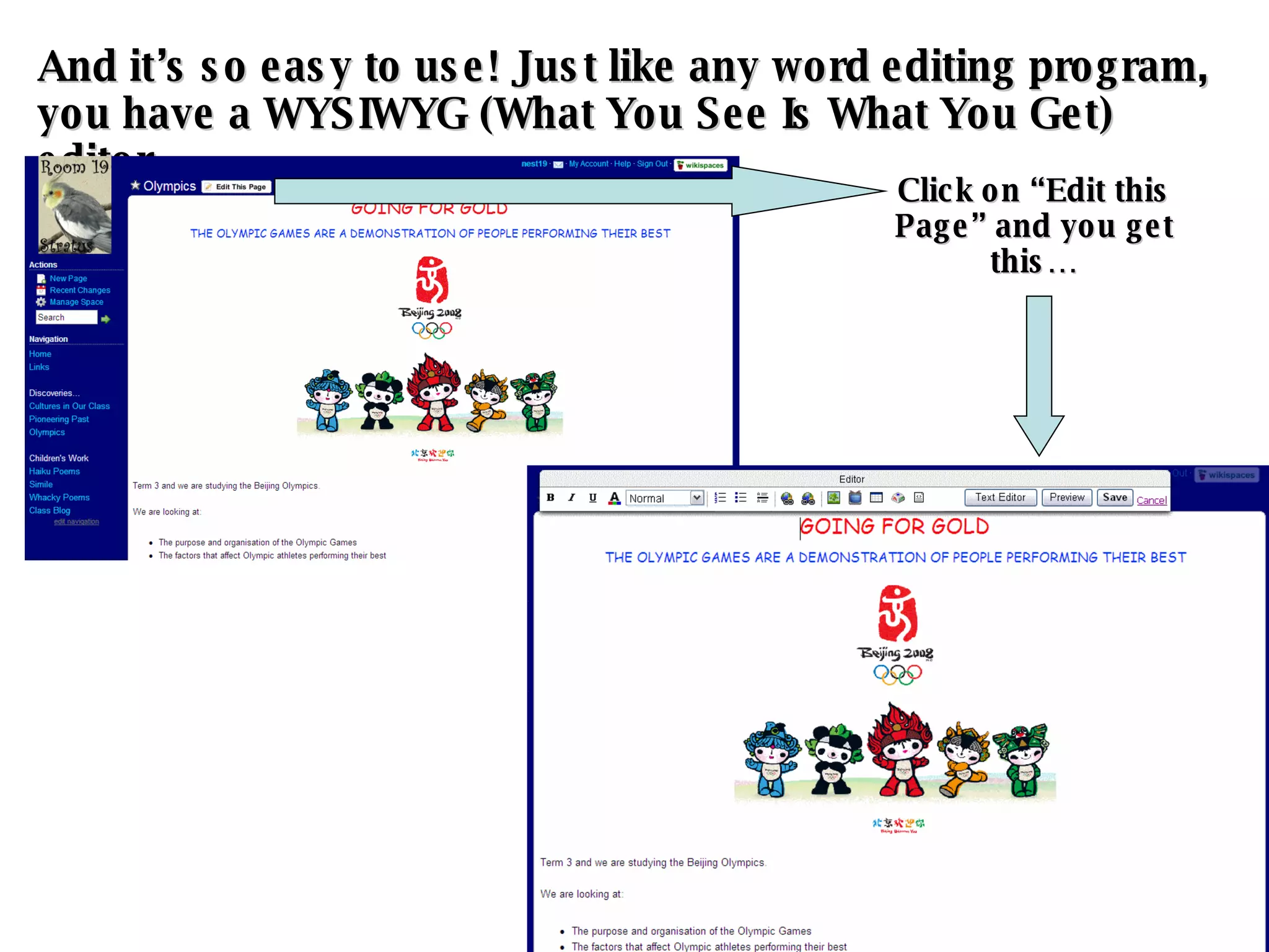 And it’s so easy to use! Just like any word editing program, you have a WYSIWYG (What You See Is What You Get) editor… Click on “Edit this Page” and you get this… 