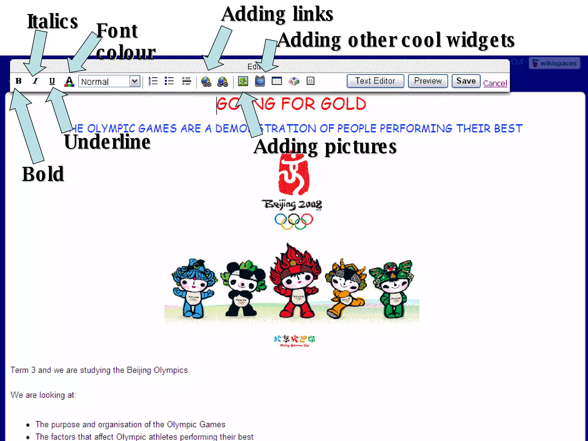 Italics Font colour Bold Underline Adding links Adding pictures Adding other cool widgets 