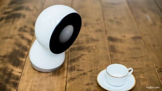 myjibo.com
 