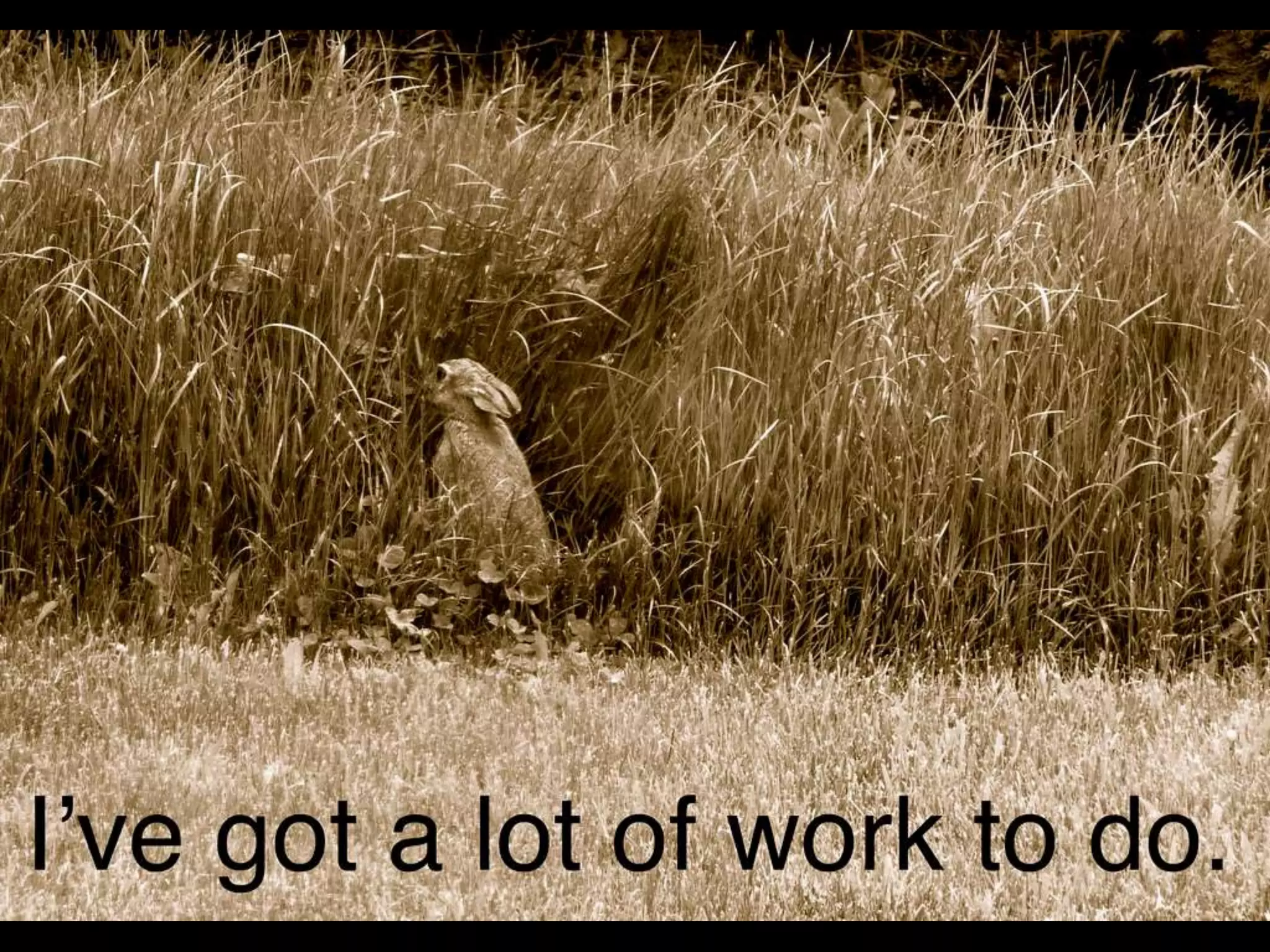 Lots of work left to do 
 