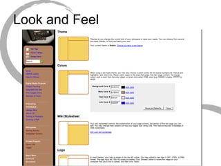Look and Feel 