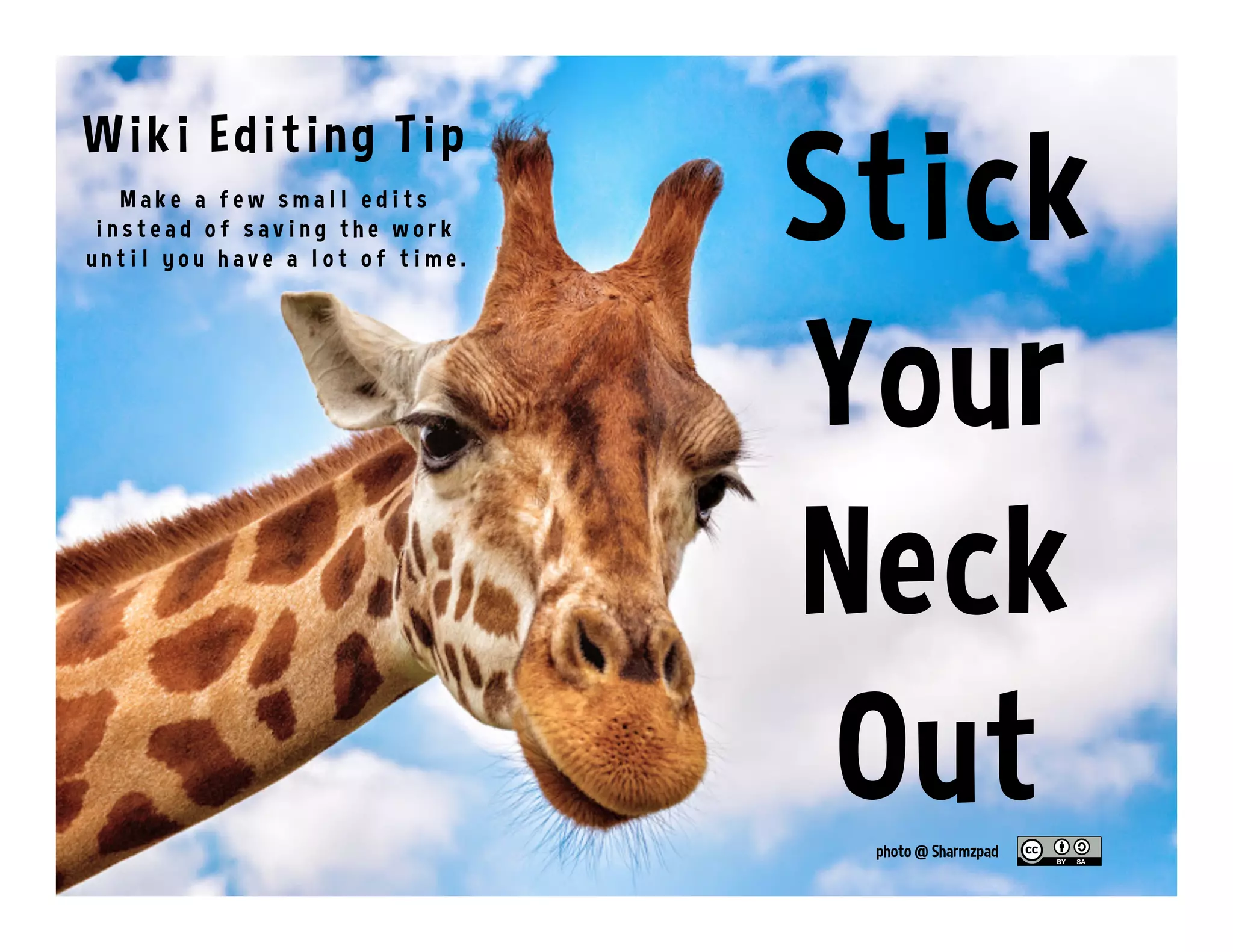 Wiki Editing Tip
photo @ Sharmzpad
M a k e a f e w s m a l l e d i t s
i n s t e a d o f s a v i n g t h e w o r k
u n t i l y o u h a v e a l o t o f t i m e .
Stick
Your
Neck
Out
 