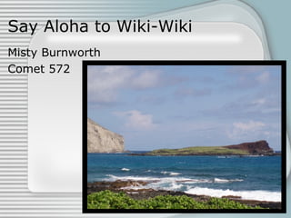 Say Aloha to Wiki-Wiki Misty Burnworth Comet 572 