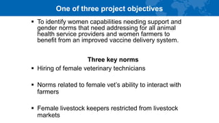 Women in livestock: Breaking gender biases, shifting norms