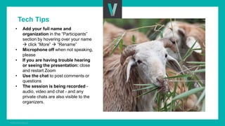 Women in livestock: Breaking gender biases, shifting norms