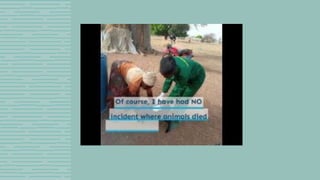 Women in livestock: Breaking gender biases, shifting norms