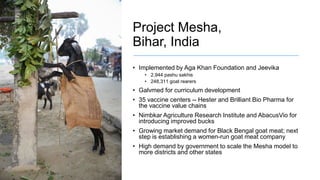 Women in livestock: Breaking gender biases, shifting norms