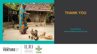 Women in livestock: Breaking gender biases, shifting norms