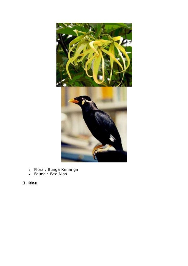 Wilayah flora dan fauna barat tipe asiatis Wilayah flora dan fauna barat tipe asiatis