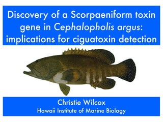 Discovery of a Scorpaeniform toxin
    gene in Cephalopholis argus:
implications for ciguatoxin detection




              Christie Wilcox
       Hawaii Institute of Marine Biology
 