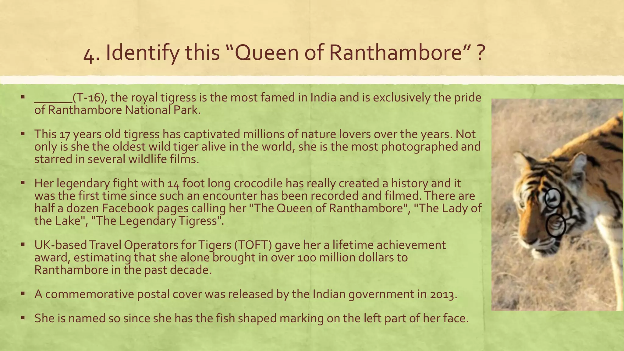 4. Identify this “Queen of Ranthambore” ?
▪ ______(T-16), the royal tigress is the most famed in India and is exclusively the pride
of Ranthambore National Park.
▪ This 17 years old tigress has captivated millions of nature lovers over the years. Not
only is she the oldest wild tiger alive in the world, she is the most photographed and
starred in several wildlife films.
▪ Her legendary fight with 14 foot long crocodile has really created a history and it
was the first time since such an encounter has been recorded and filmed.There are
half a dozen Facebook pages calling her "The Queen of Ranthambore", "The Lady of
the Lake", "The LegendaryTigress".
▪ UK-basedTravel Operators forTigers (TOFT) gave her a lifetime achievement
award, estimating that she alone brought in over 100 million dollars to
Ranthambore in the past decade.
▪ A commemorative postal cover was released by the Indian government in 2013.
▪ She is named so since she has the fish shaped marking on the left part of her face.
 