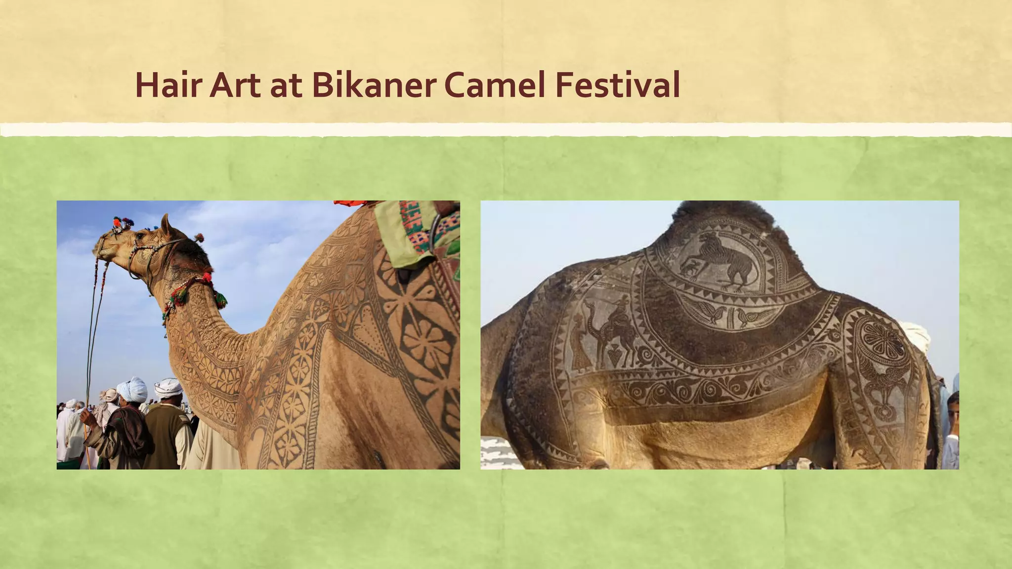 Hair Art at Bikaner Camel Festival
 