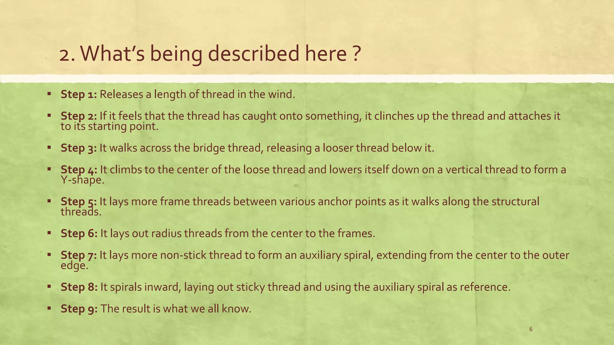 2.What’s being described here ?
▪ Step 1: Releases a length of thread in the wind.
▪ Step 2: If it feels that the thread has caught onto something, it clinches up the thread and attaches it
to its starting point.
▪ Step 3: It walks across the bridge thread, releasing a looser thread below it.
▪ Step 4: It climbs to the center of the loose thread and lowers itself down on a vertical thread to form a
Y-shape.
▪ Step 5: It lays more frame threads between various anchor points as it walks along the structural
threads.
▪ Step 6: It lays out radius threads from the center to the frames.
▪ Step 7: It lays more non-stick thread to form an auxiliary spiral, extending from the center to the outer
edge.
▪ Step 8: It spirals inward, laying out sticky thread and using the auxiliary spiral as reference.
▪ Step 9: The result is what we all know.
6
 