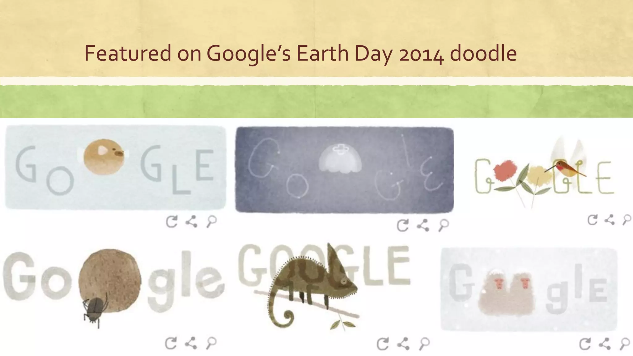 Featured on Google’s Earth Day 2014 doodle
 