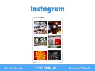 Kathryn Presner PRESS PUBLISH Wild About Widgets
Instagram
 