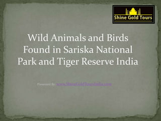 Wild Animals and Birds Found
in Sariska National Park and
Tiger Reserve India
Presented By: Shine Gold Tours India
 