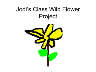 Jodi’s Class Wild Flower Project 