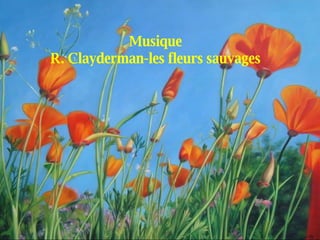 Musique R. Clayderman-les fleurs sauvages 