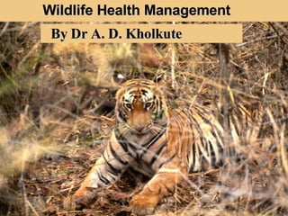 Wildlife Health Management By Dr A. D. Kholkute  