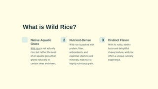 Experience Nature's Bounty: Battle River Wild Rice | PDF | Agriculture ...
