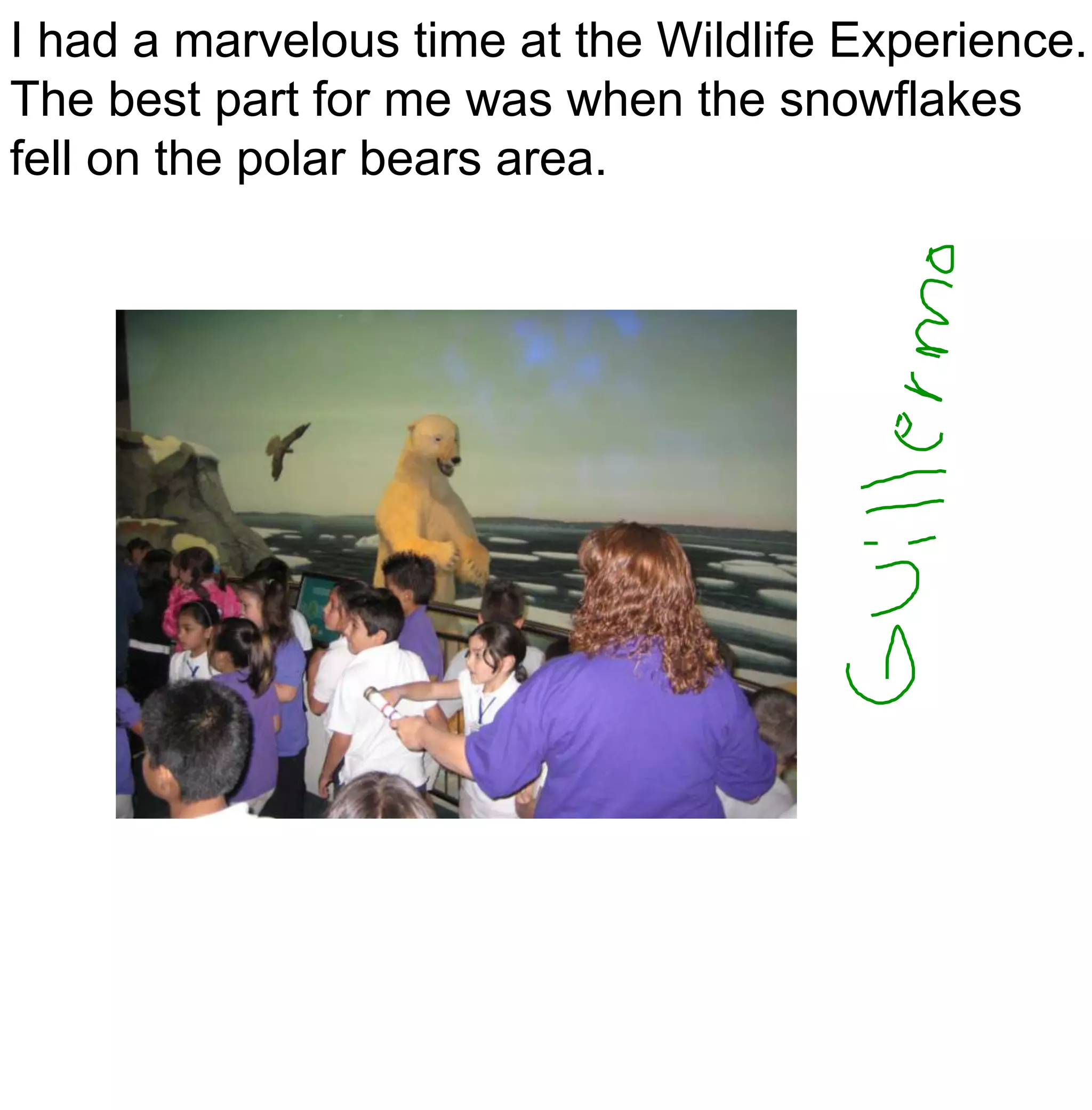 I had a marvelous time at the Wildlife Experience. The best part for me was when the snowflakes fell on the polar bears area.