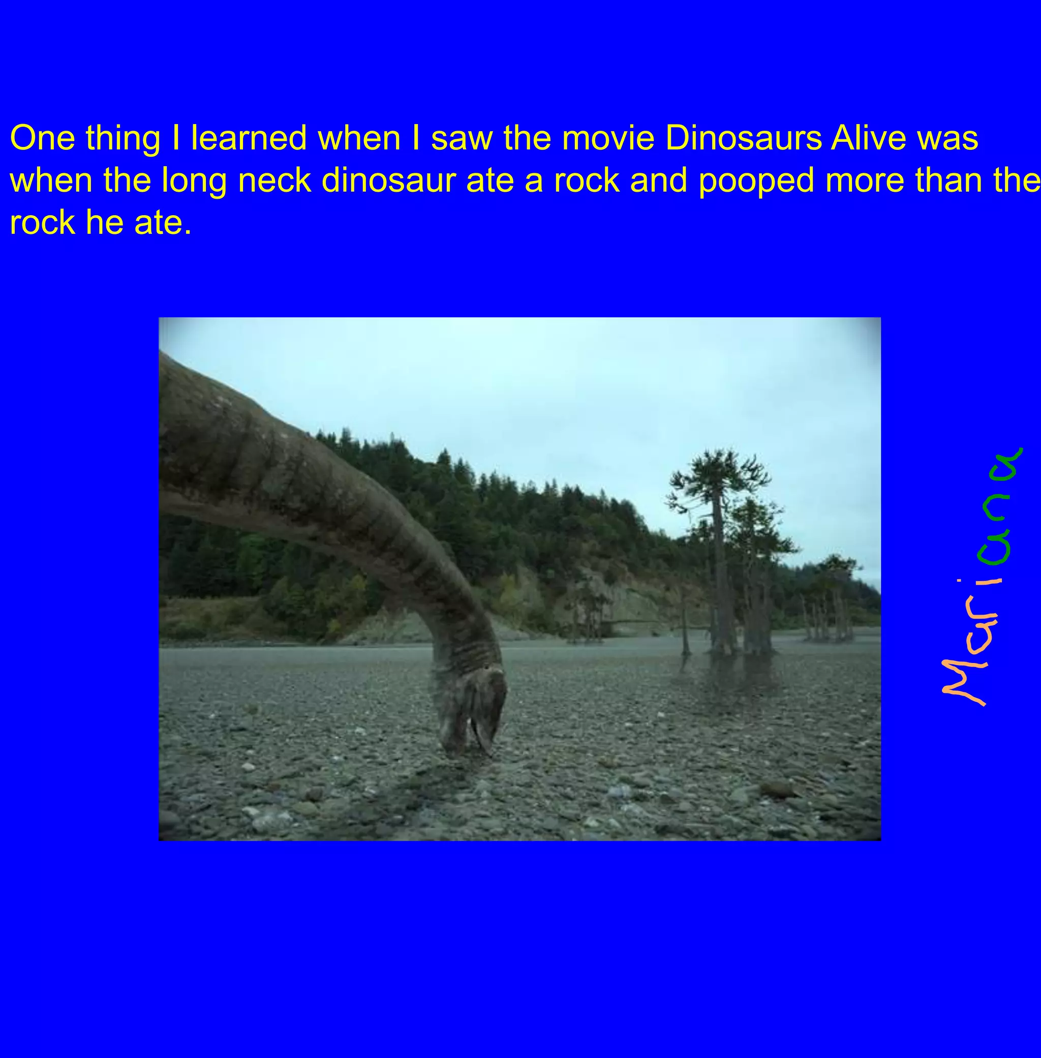 One thing I learned when I saw the movie Dinosaurs Alive was when the long neck dinosaur ate a rock and pooped more than the rock he ate.